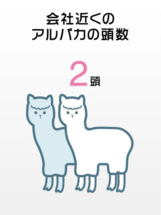 16-会社近くのアルパカ